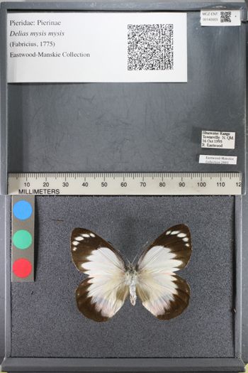 Media type: image;   Entomology 140003